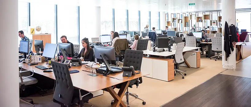 A photo of employees working at their computer workstations in their office.